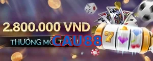 CAU88