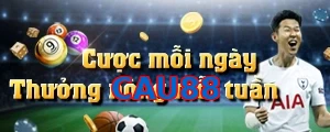 CAU88
